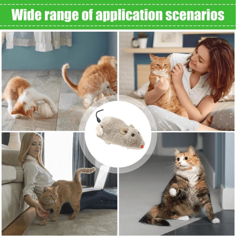Wind-Up Interactive Cat Mouse Toy