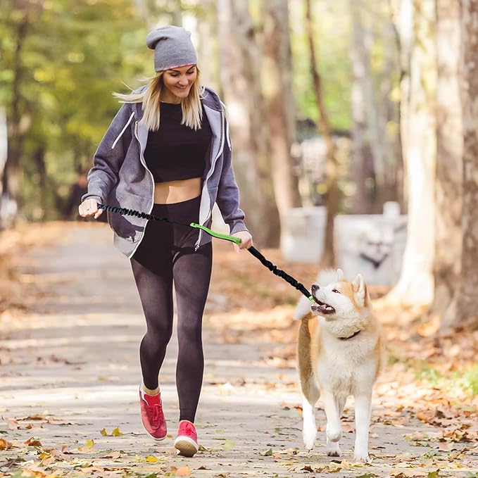 Maliben | PawsFree Pro – Enjoy Stress-free Walks With Your Dog