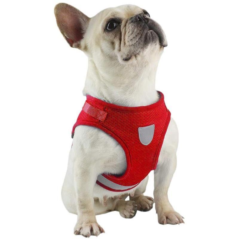 Maliben | Reflective Safety Dog Harness and Leash Set Offer