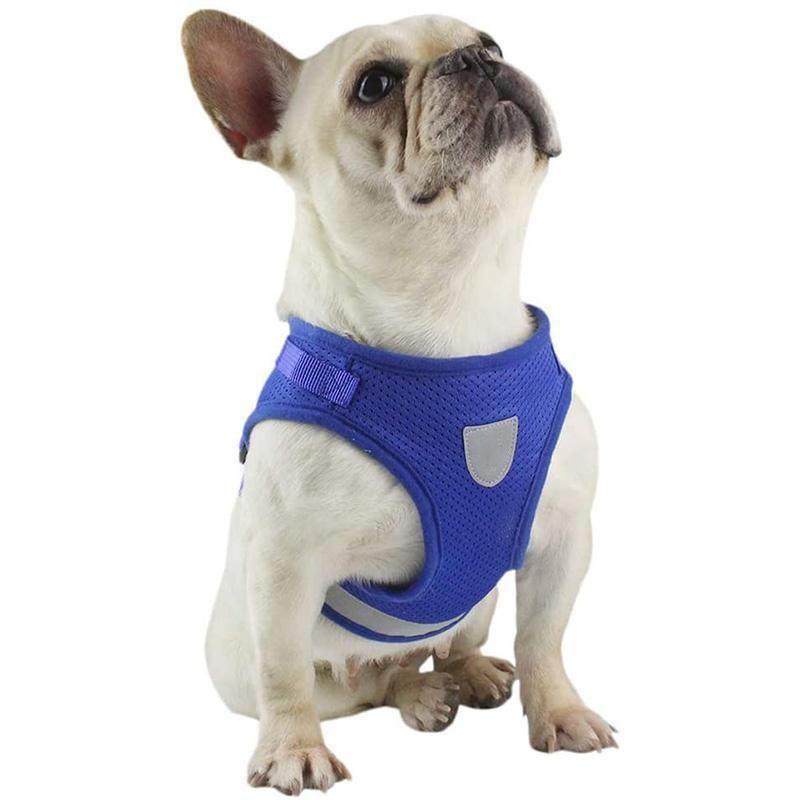 Maliben | Reflective Safety Dog Harness and Leash Set Offer