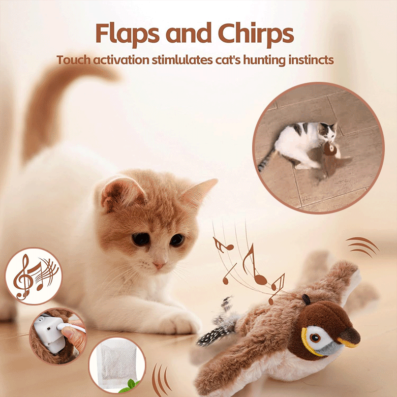 Maliben | Fangbird — Ignite The Wild Play Drive That Drives Your Cat Crazy!