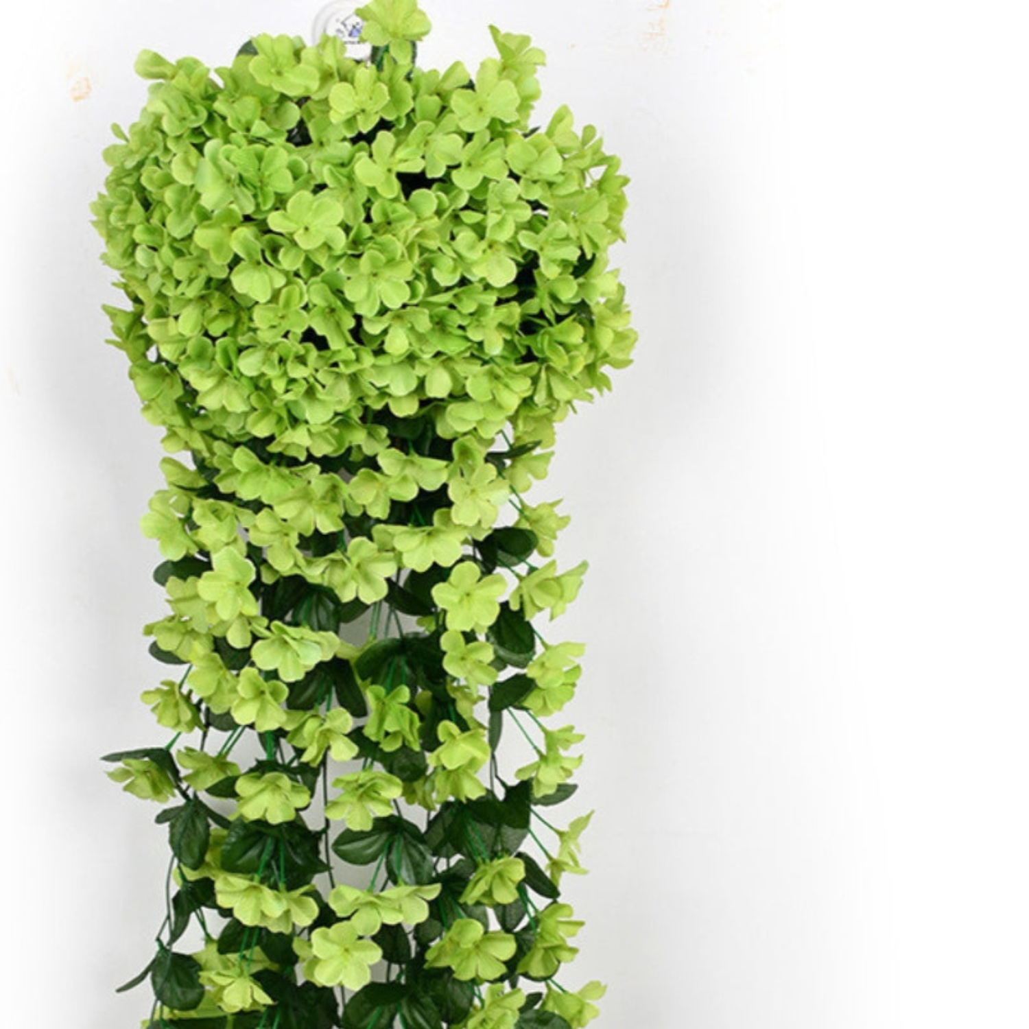 Maliben | Plantglow – Natural Elegance, Permanently Fresh [Last Day Discount]