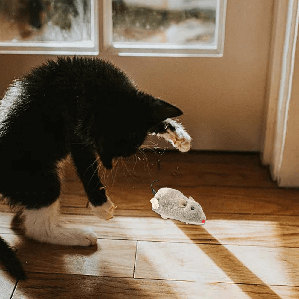 Wind-Up Interactive Cat Mouse Toy