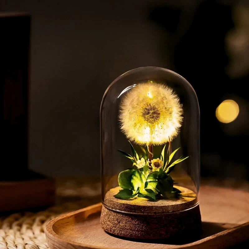 Maliben | Eternabloom Night Light