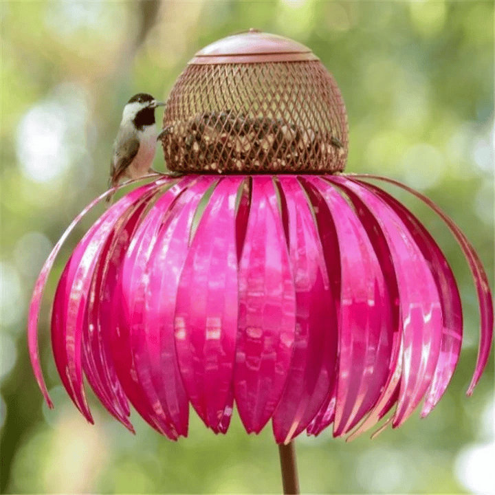 MAliben | Floranest Bird Feeder | Enjoy Free Coneflowers For a Colorful Garden
