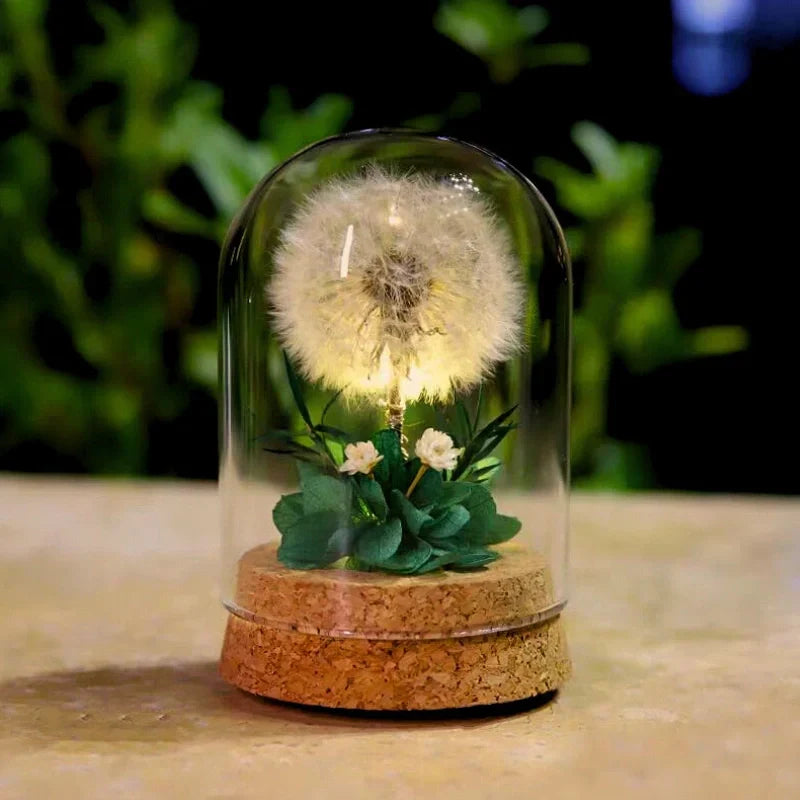 Maliben | Eternabloom Night Light