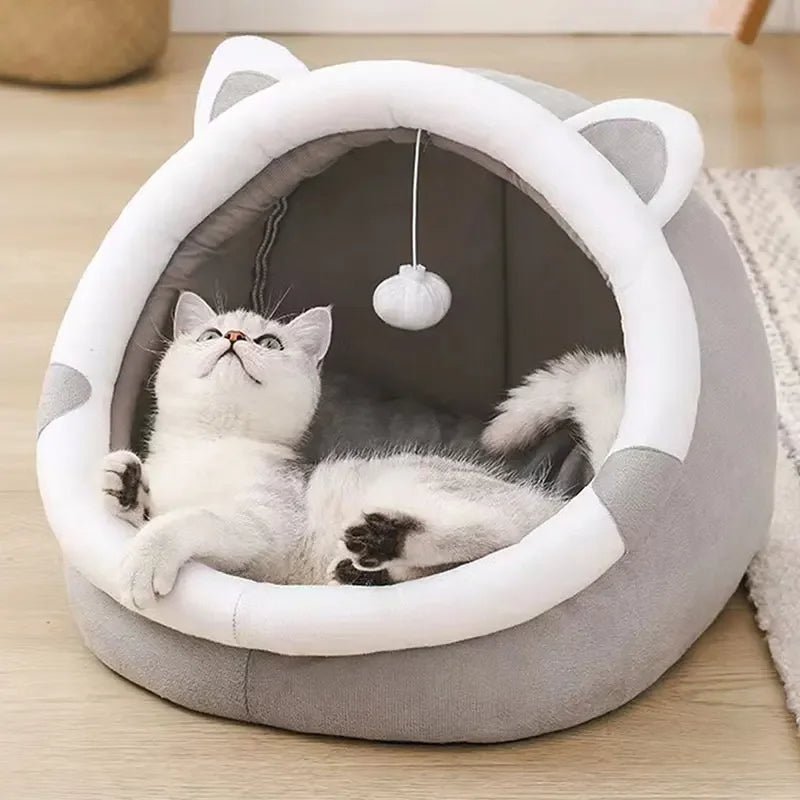 Maliben | Purroasis – The Cozy Refuge For Happy Cats