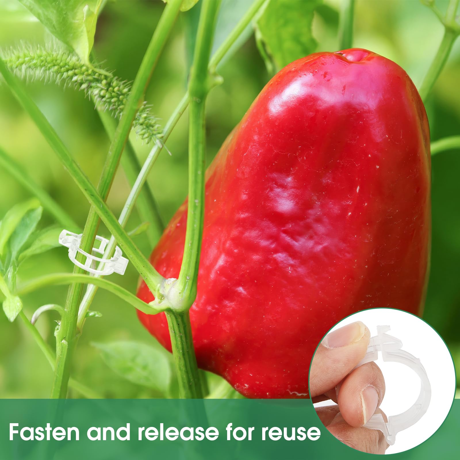 Maliben | Tomato Clips, Plastic Trellis Clips