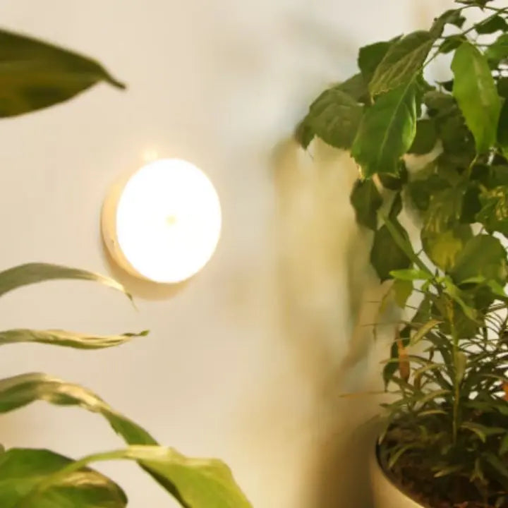 Maliben | Rechargeable Motion Sensor Led Night Light