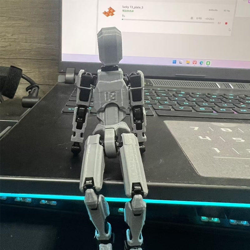Maliben | T13 Multi-Jointed Action Figures
