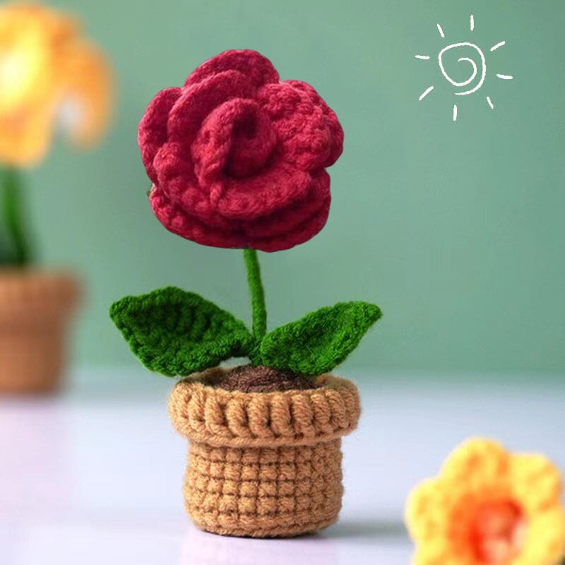 Maliben | Handmade Knitted Flowers