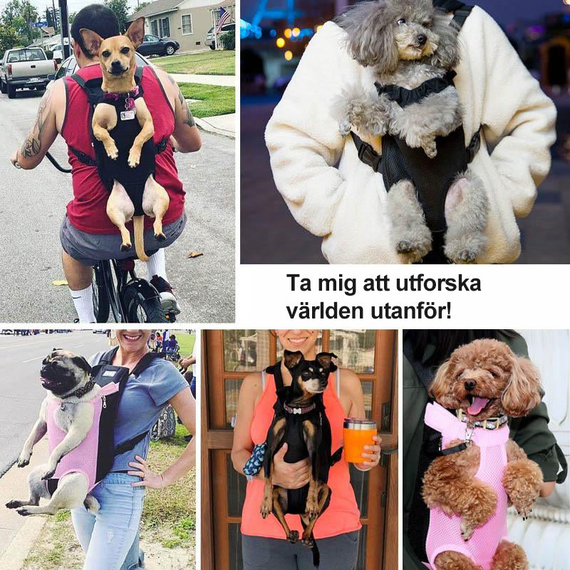 Maliben | Pet Backpack Front