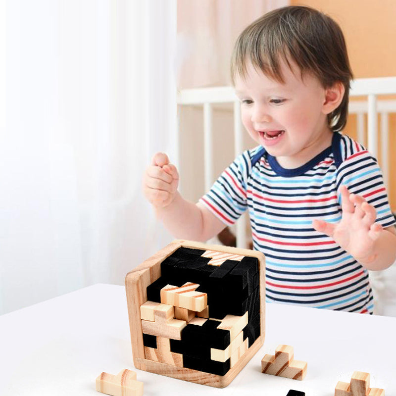 Maliben | Wooden Intelligence Game Brain Confusion Game