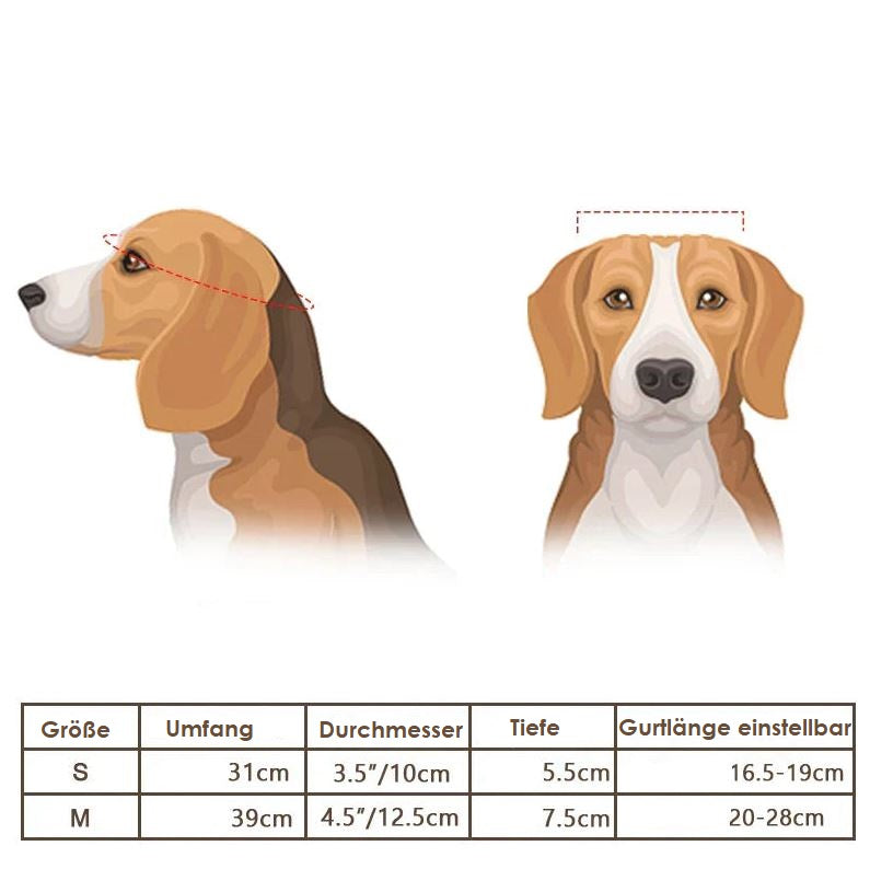 Maliben | Motorcycle Helmet and Goggles for Dogs – Trendy and Safe