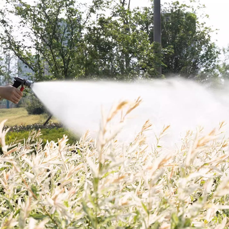 Maliben | High-Pressure Electro Spraying Device
