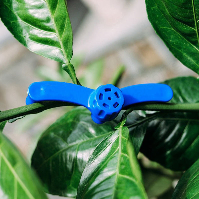 Maliben | Fixative For Branch Modeling
