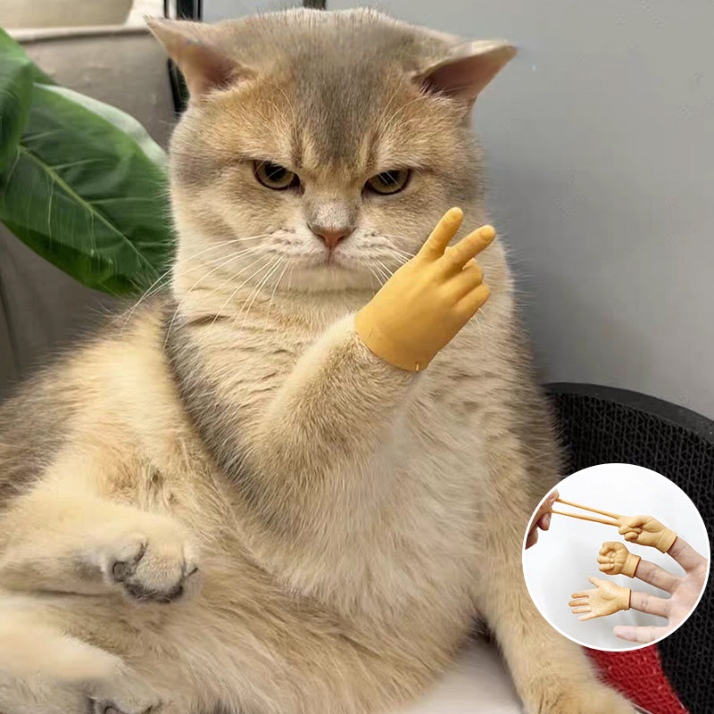 Maliben | Funny Mini Finger Hands