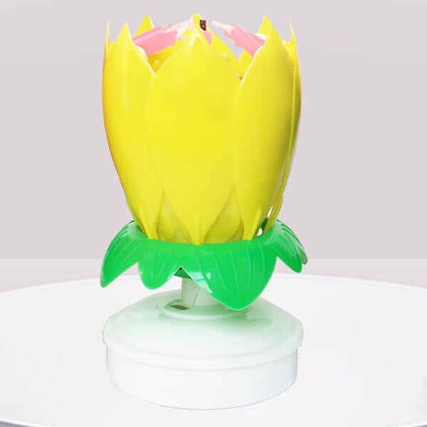 Maliben | 🎂Magic Flower Birthday Candle