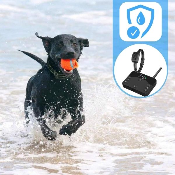 Maliben | 2-in-1 Wireless Pet Training Collars and Dog Fence Sound Check Electric and Vibrating Shock Dog Collar Fence From 65 to 1640 Feet