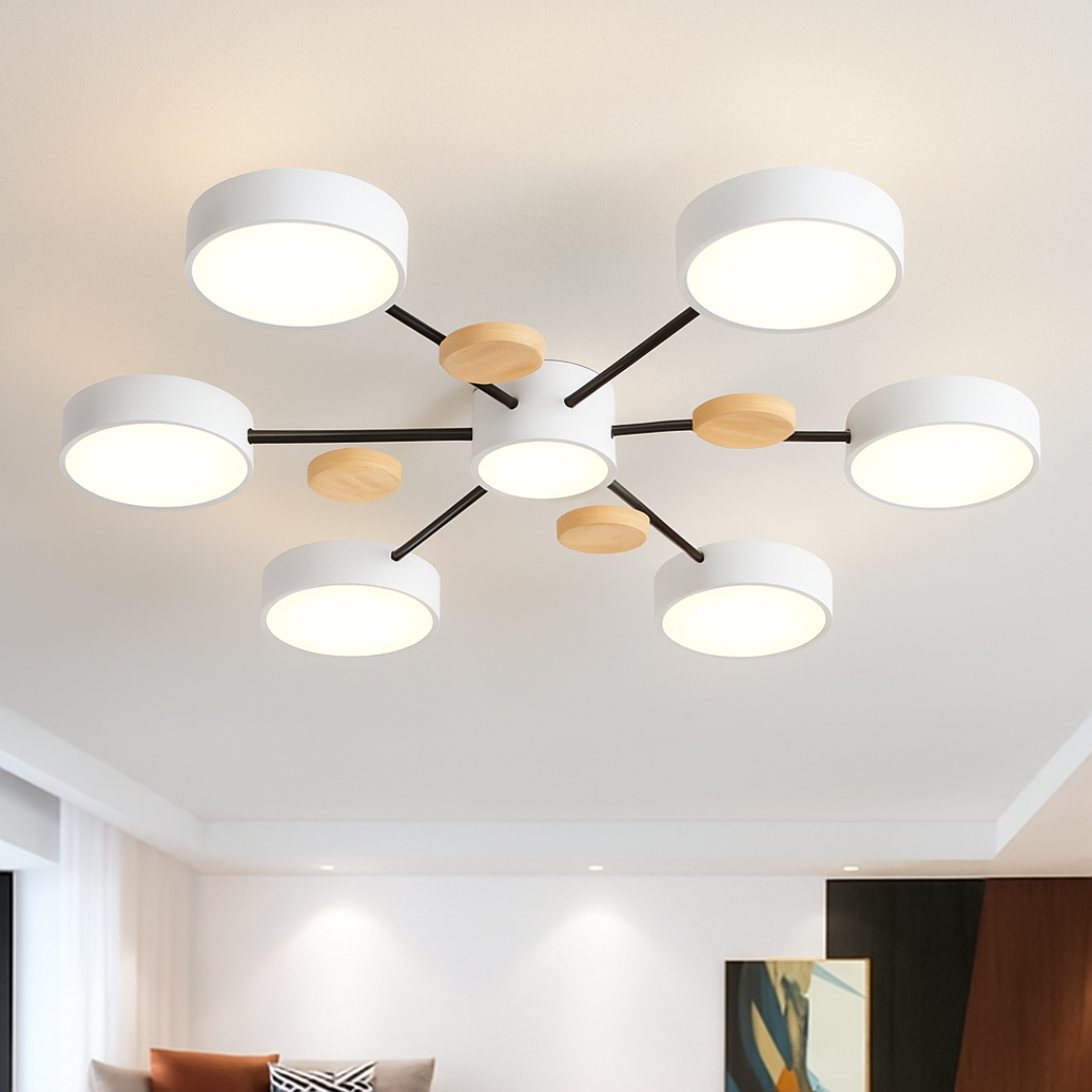 Maliben | Led Modern Ceiling Light Fixture