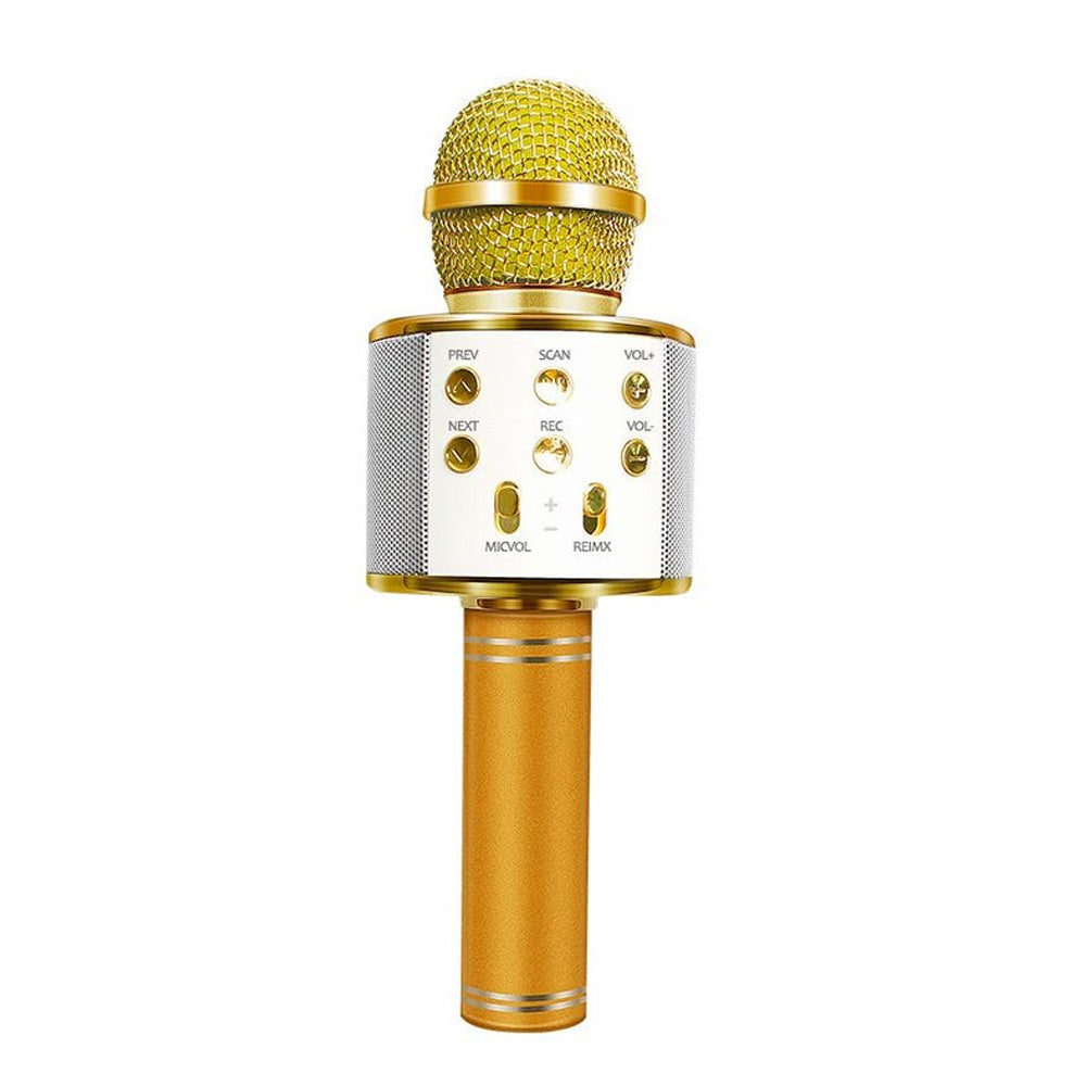 Maliben Rechargeable wireless Bluetooth karaoke microphone