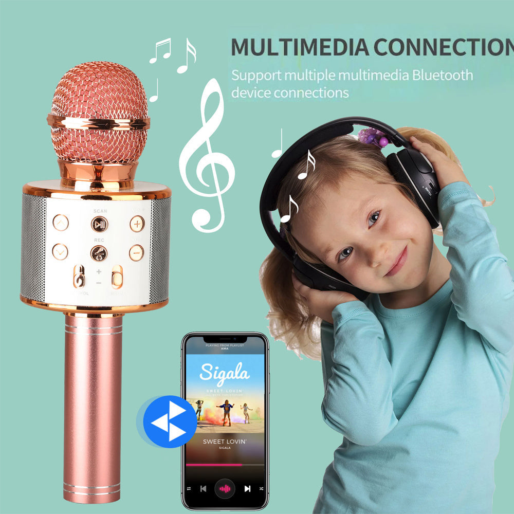 Maliben | Rechargeable Wireless Bluetooth Karaoke Microphone