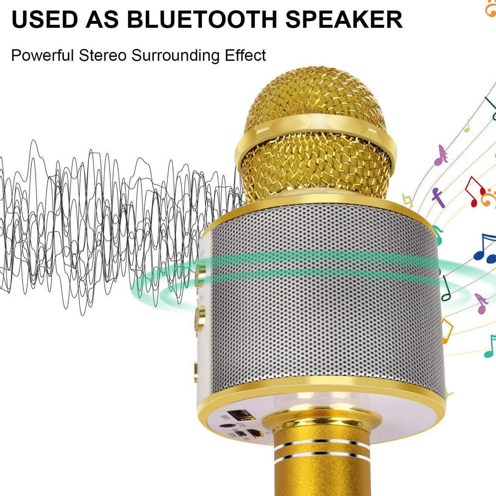 Maliben | Rechargeable Wireless Bluetooth Karaoke Microphone