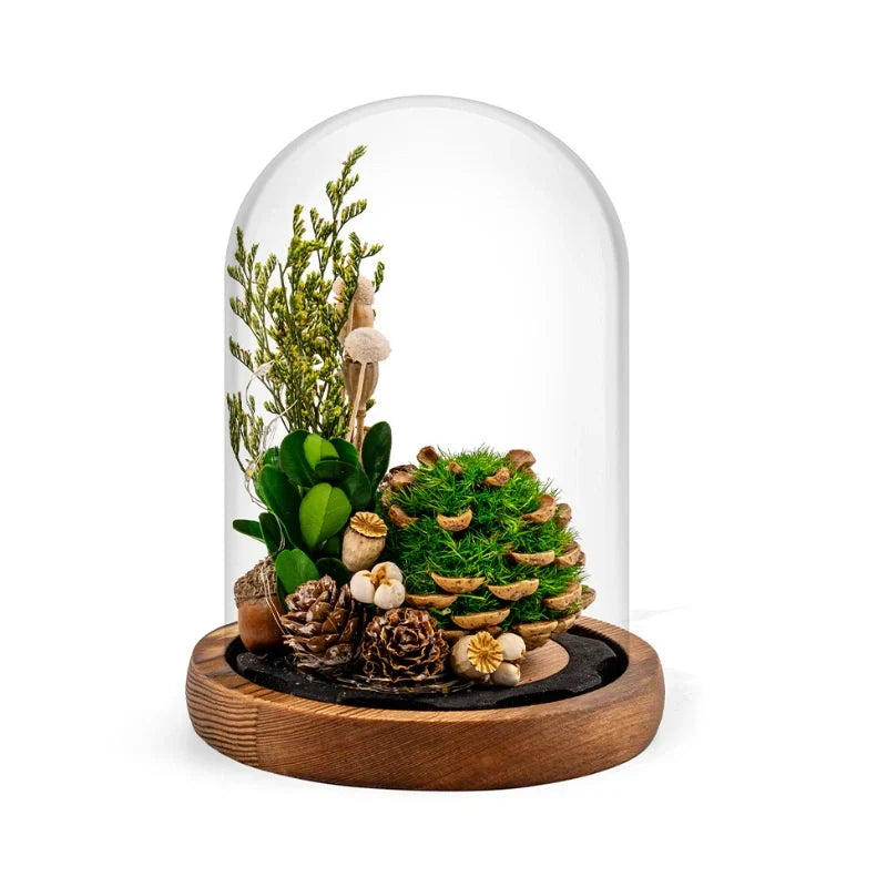 Maliben | Eternabloom Night Light