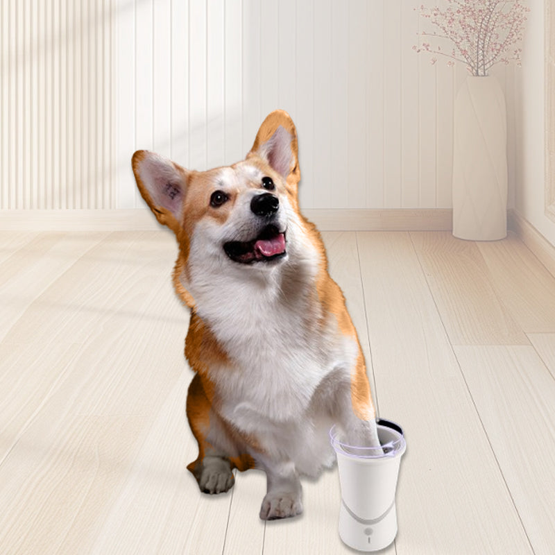 Maliben | Pawperfection — Clean Paws, Stress-Free Walks Full Of Feel-Good Moments