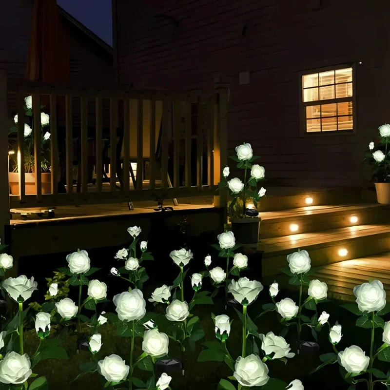 Maliben | Everbloom Solar Flower Lights