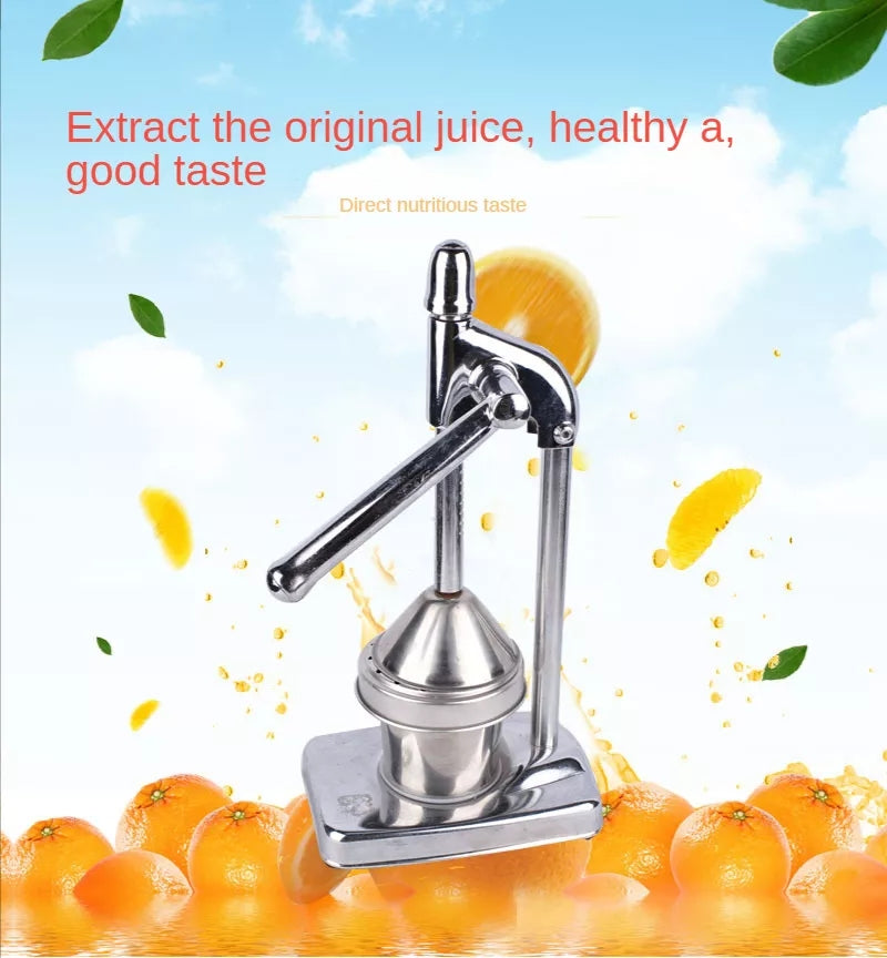 Maliben | Stainless Steel Fruit Juicer