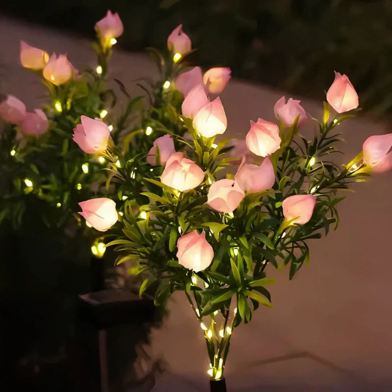 Maliben | Everbloom Solar Flower Lights