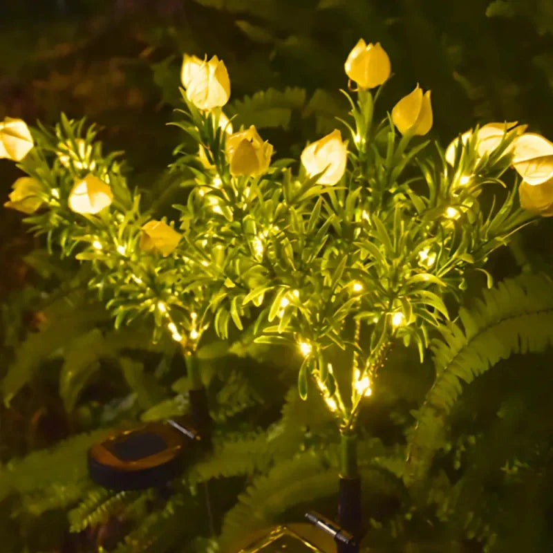 Maliben | Everbloom Solar Flower Lights