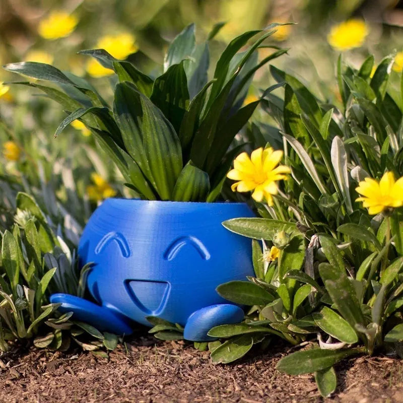 MAliben | Joypot – Brighten Up Any Room With a Fun, Healthy Plant Showcase