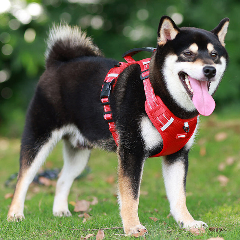 Maliben | Reflective Dog Harness