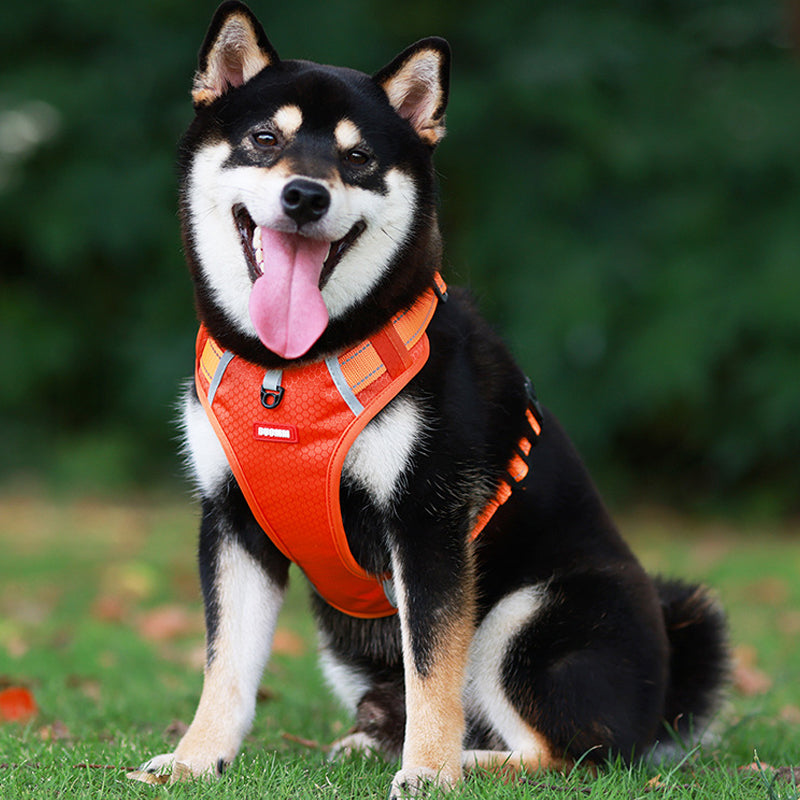 Maliben | Reflective Dog Harness