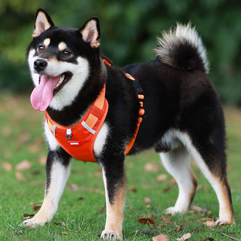 Maliben | Reflective Dog Harness
