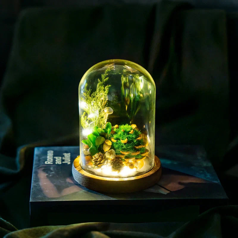 Maliben | Eternabloom Night Light