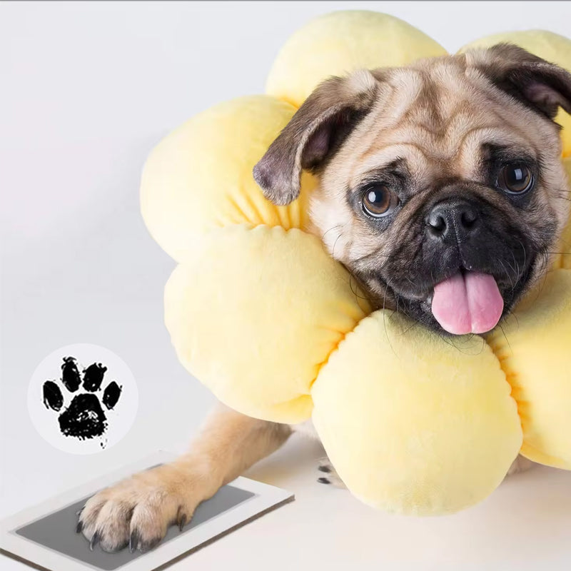 Maliben | Diy Pet Paw Print Memory Frame