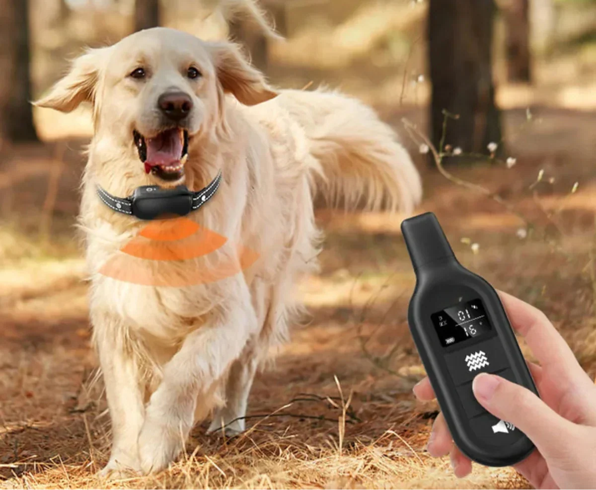 Maliben | Dog Coach Pro Training Collar – Waterproof Electronic Collar with Remote Control