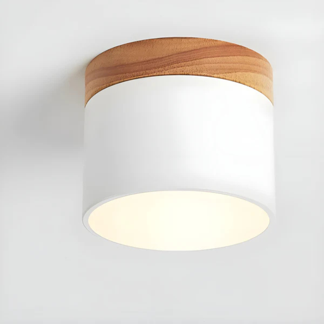 Maliben | Vintage Led Ceiling Lamp