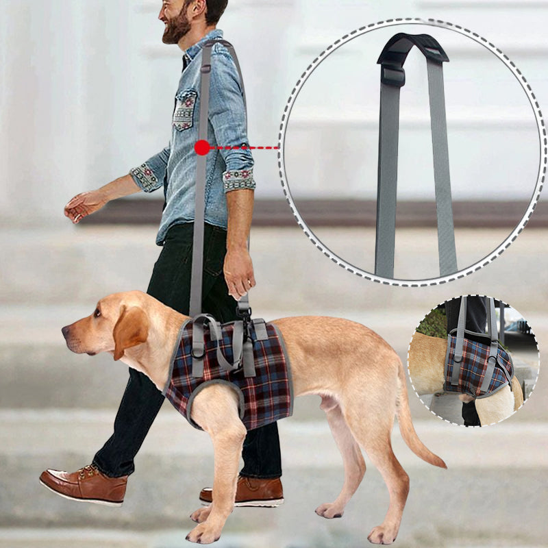 Maliben | Orthopedic Rear Leg Support Harness for Dogs – Ideal for Arthritis, Hip Dysplasia & Mobility Aid