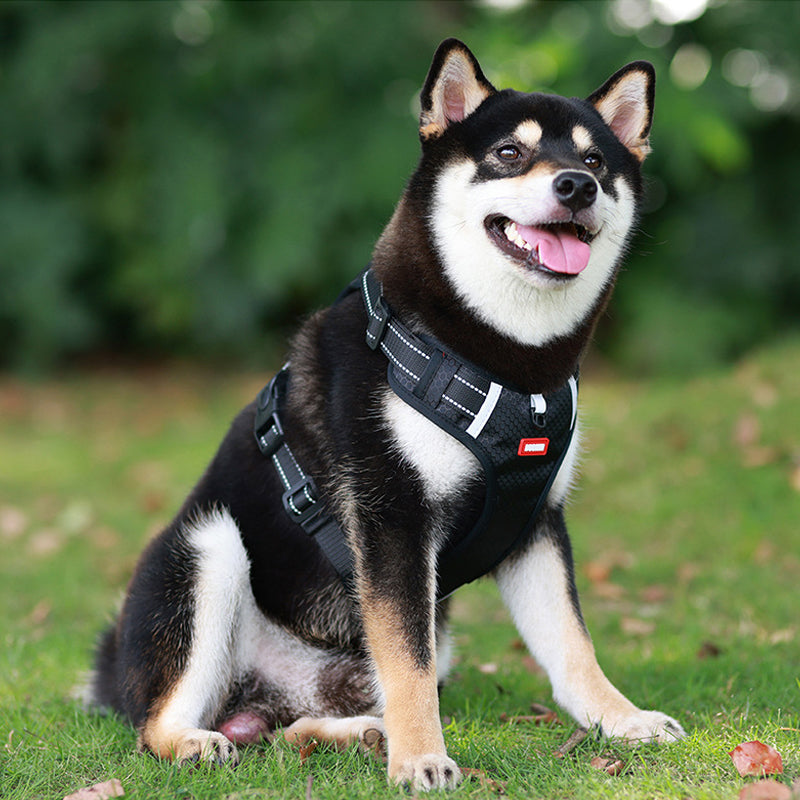 Maliben | Reflective Dog Harness