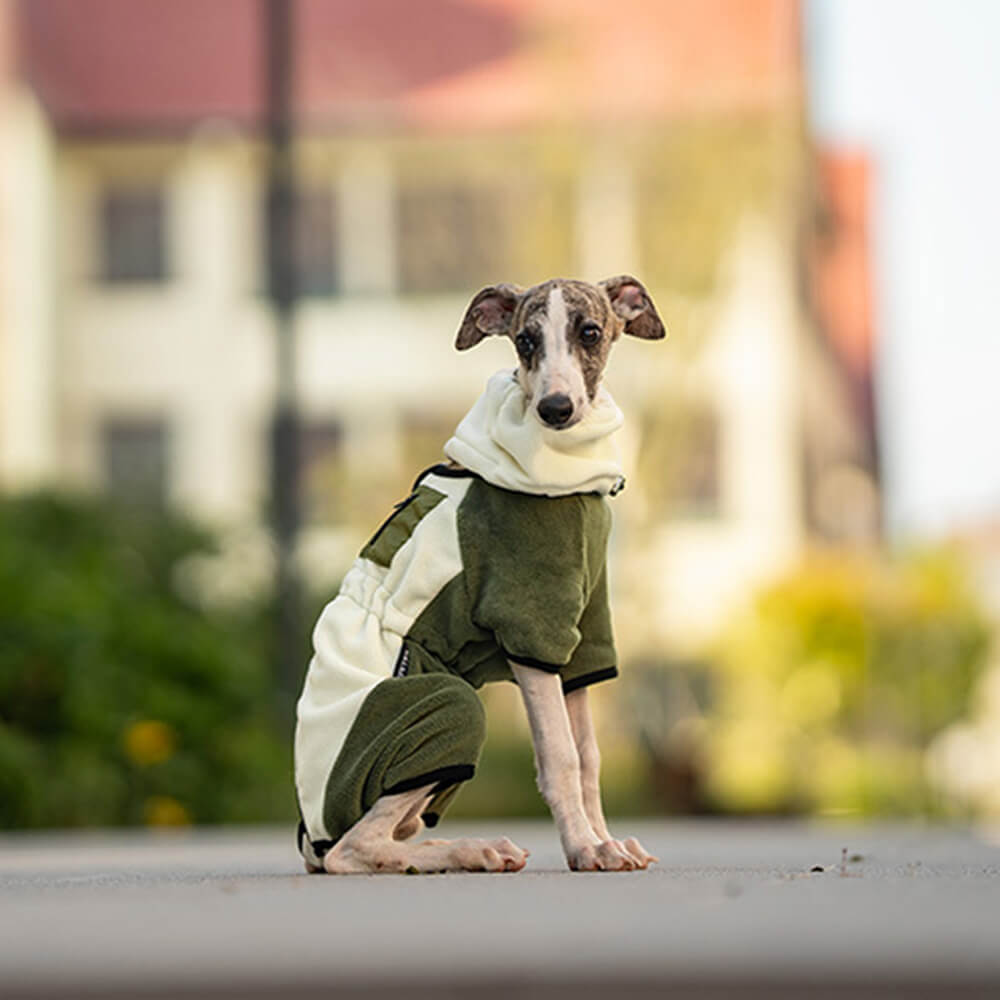 Maliben | Full Protection Polar Fleece Dog Overall with Removable Collar
