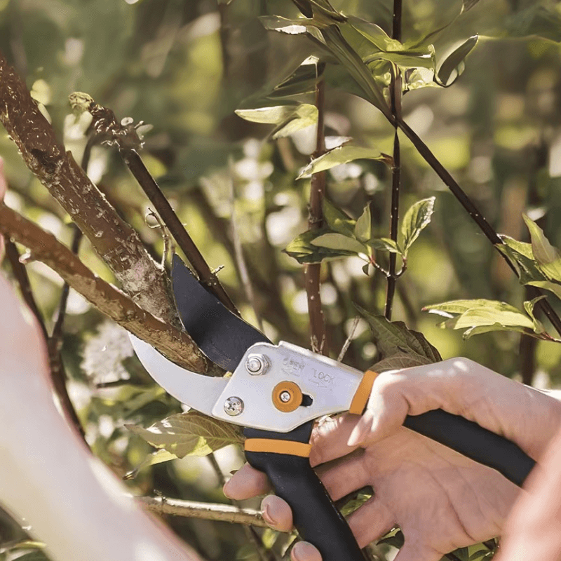 Maliben | Cutivor Pro Garden Shears | Stainless Steel Blade | Ergonomic & Non-Slip | Precision For Fruit Trees & Shrubs