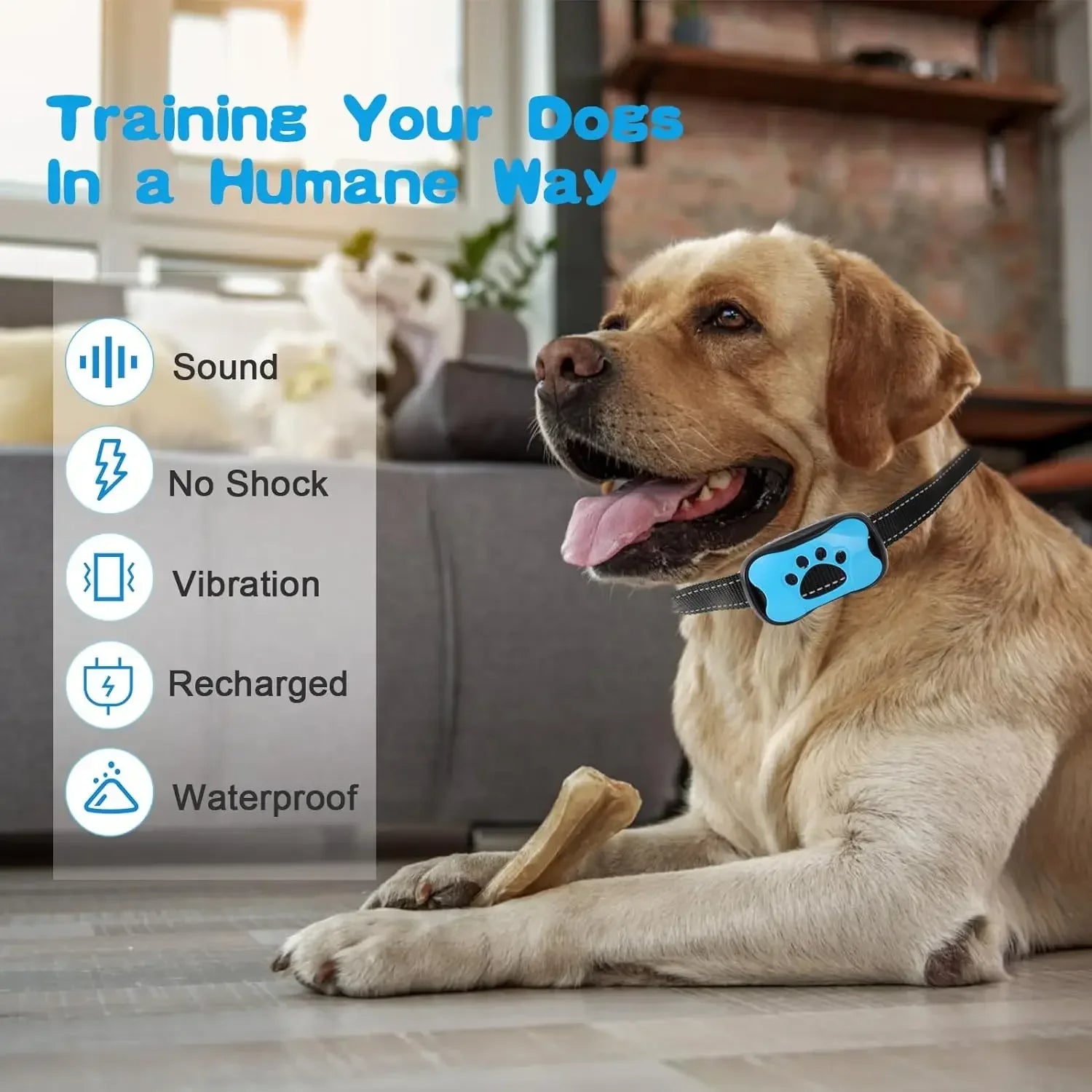 Maliben | Anti-Bark Dog Collar – Stop Unwanted Barking with the BarkBuddy Vibration Training Collar for Dogs