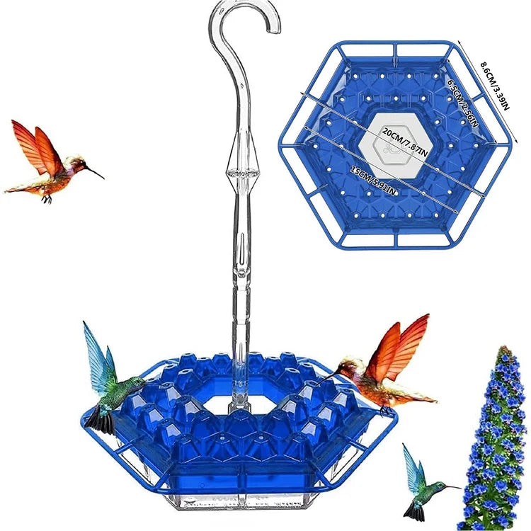 MAliben | Kolibrikracher — Create a Vibrant Bird Paradise Right In Your Garden!
