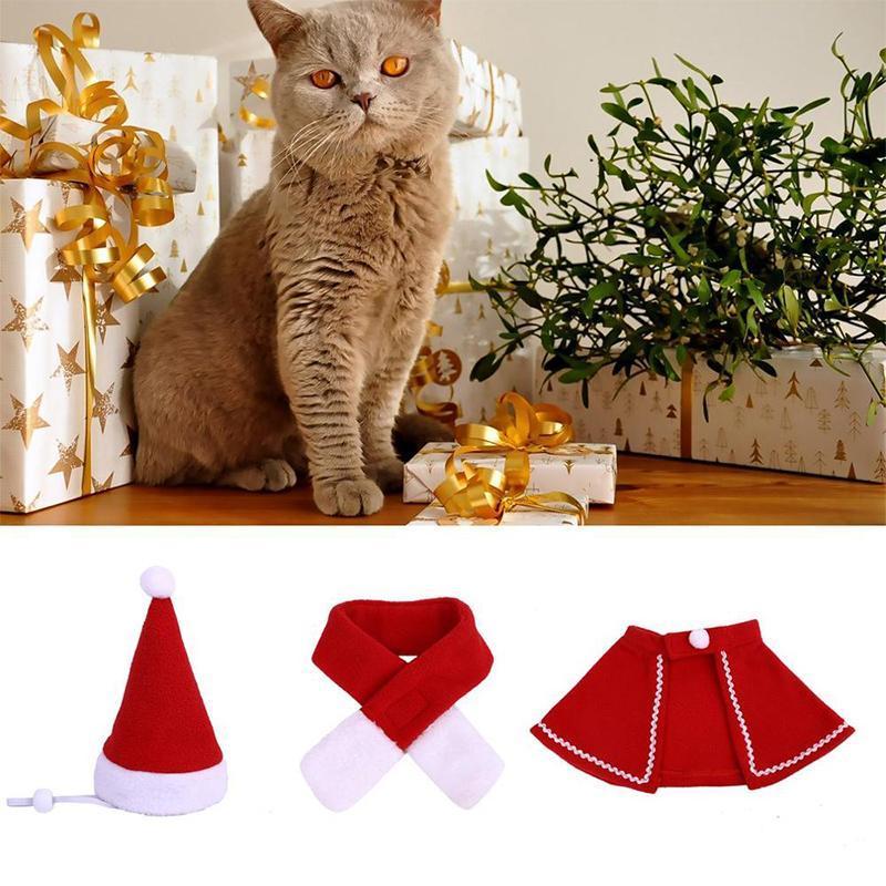 Maliben | Festivapaws – Warm Festive Pet Outfits That Attract Attention