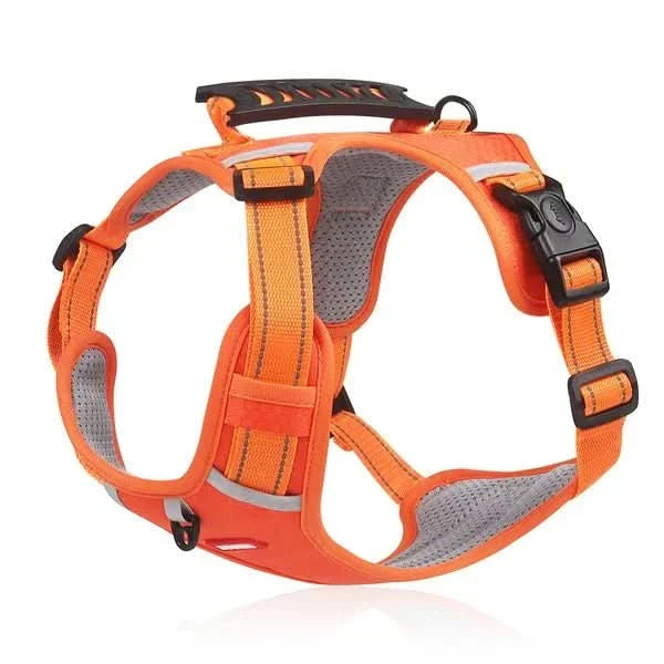 Maliben | anti-pull dog harness for pain-free walks