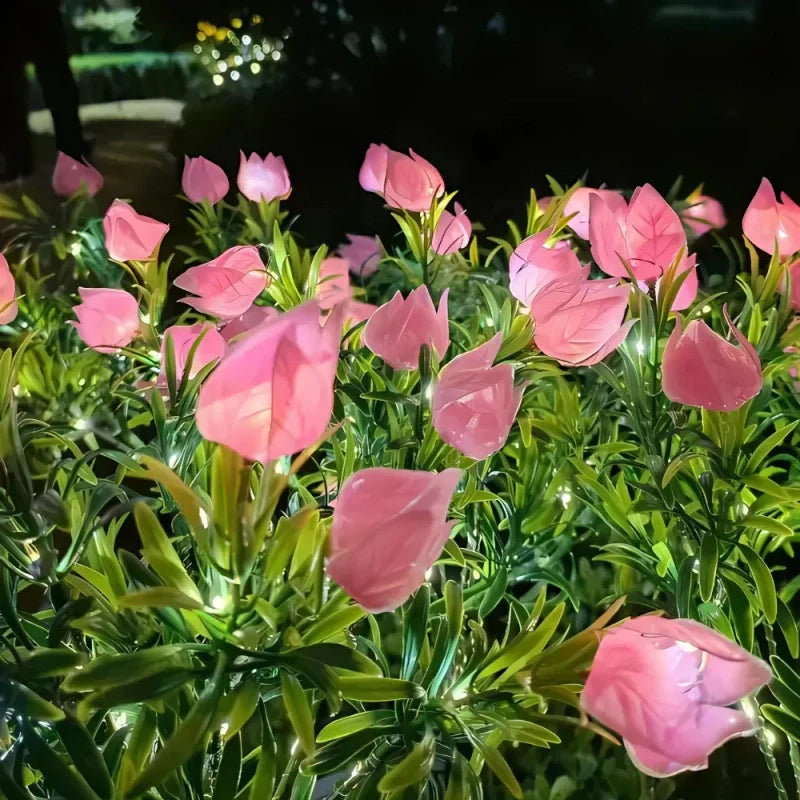 Maliben | Everbloom Solar Flower Lights